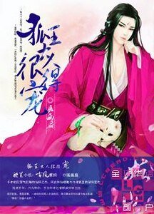 狐王大人很得宠